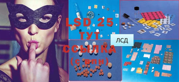 стаф Абинск