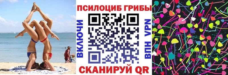 наркотики  Ряжск  mega как войти  Псилоцибиновые грибы Cubensis 
